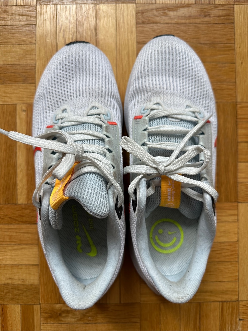 Nike Pegasus 40